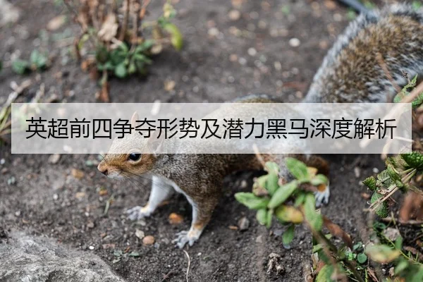 英超前四争夺形势及潜力黑马深度解析